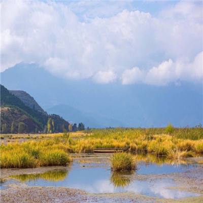 沙城霸业h5九游版下载